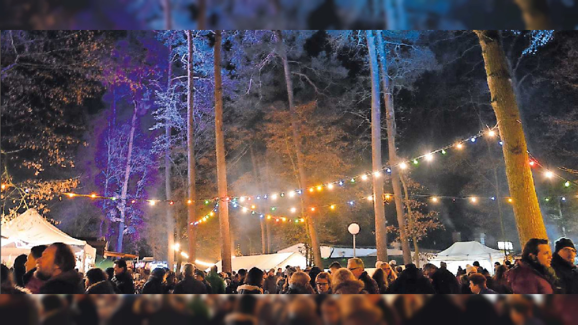 Waldweihnachtsmarkt im Vogelpark Schifferstadt