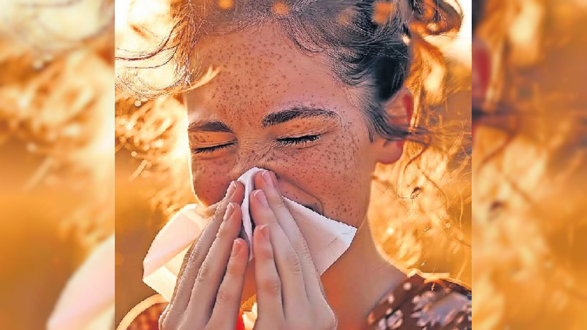 Pollen, na und?