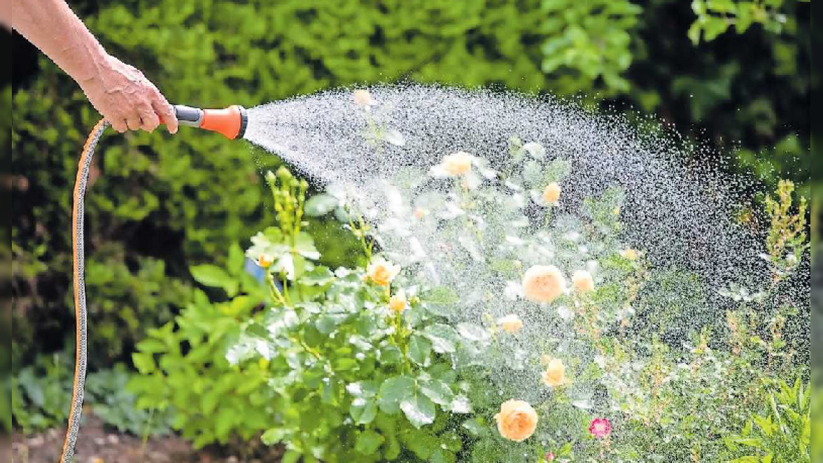 Garten richtig bewässern