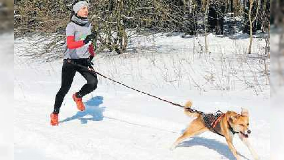 Sportlich unterwegs im Team Mensch-Hund