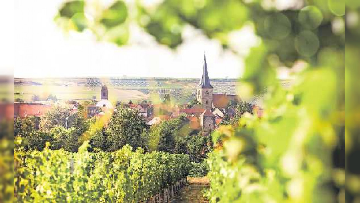 Blütenfest in Freinsheim: Magie von Wein und Natur