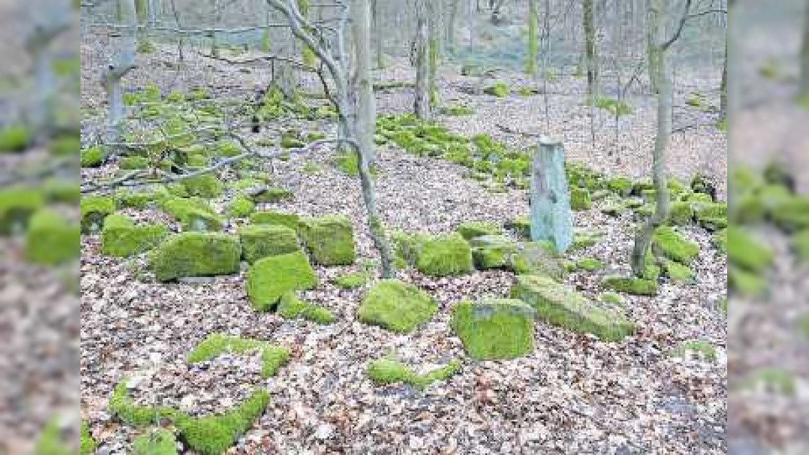 Pfälzerwald im Neustadter Stadtwald: Moderne Archäologie