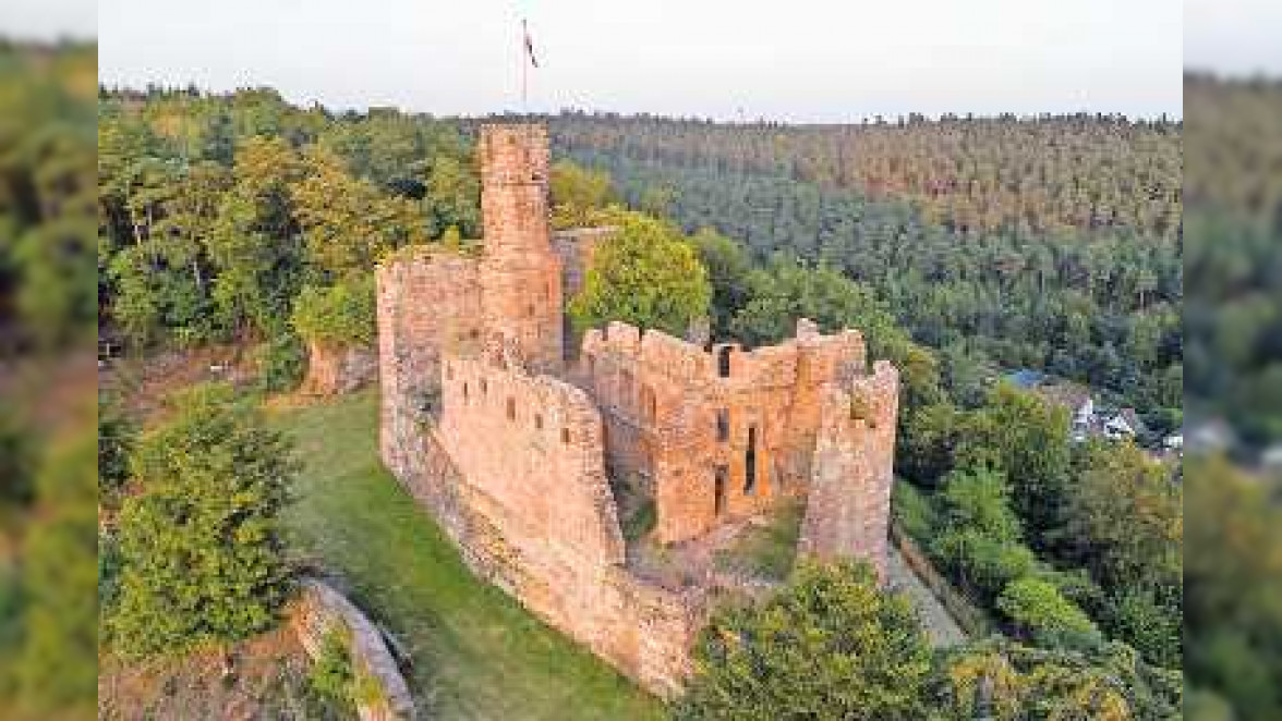 Burg Hohenecken: "Wir geben die Burg nicht her"