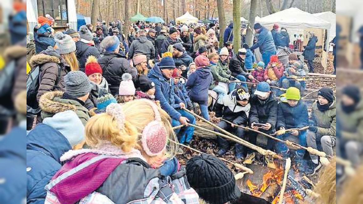 Weihnachtswaldbasar in Dudenhofen: Festglanz unter Bäumen