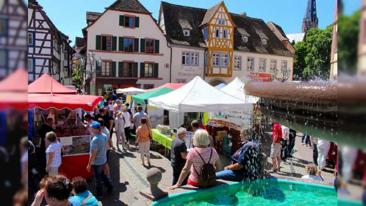 Neustadt an der Weinstraße: Der Lenz ist da