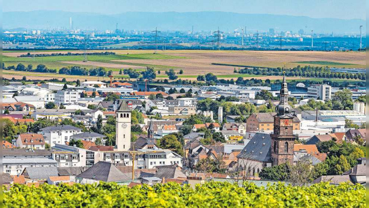 Industriemarkt in Grünstadt: Erlebnis für die ganze Familie