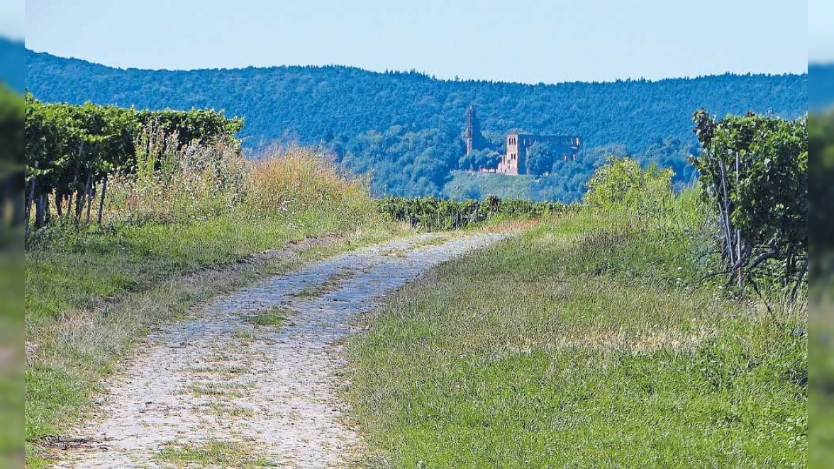 Alte Steine pflastern den Weg