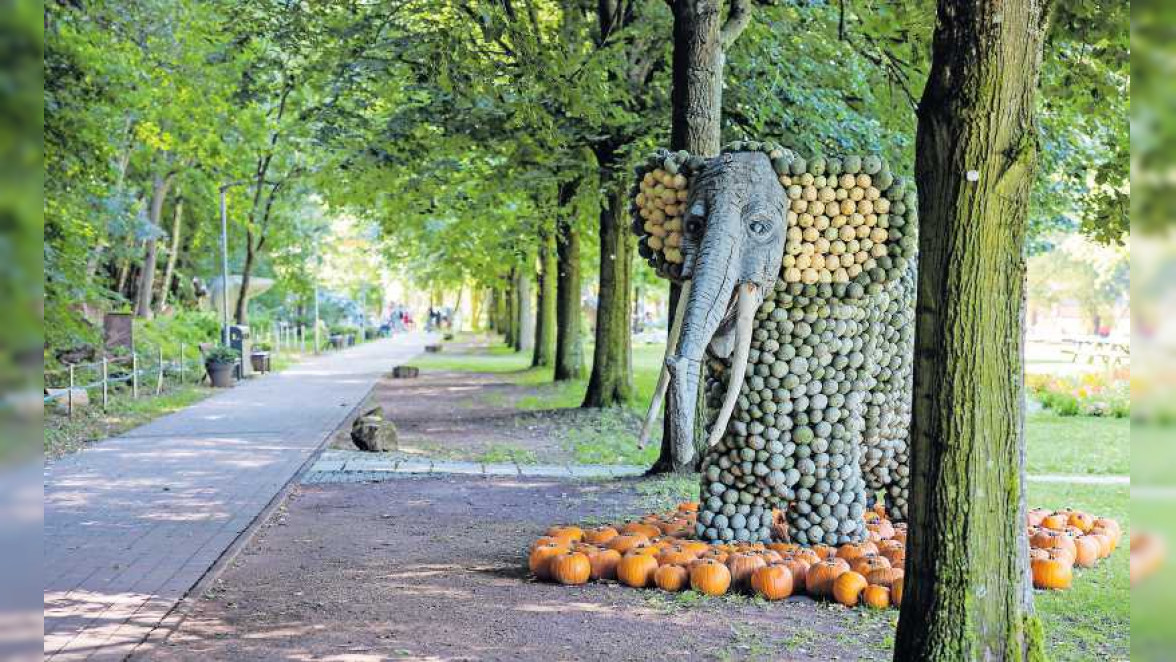 Saison-Finale der Gartenschau mit Kürbis-Ausstellung in Kaiserslautern