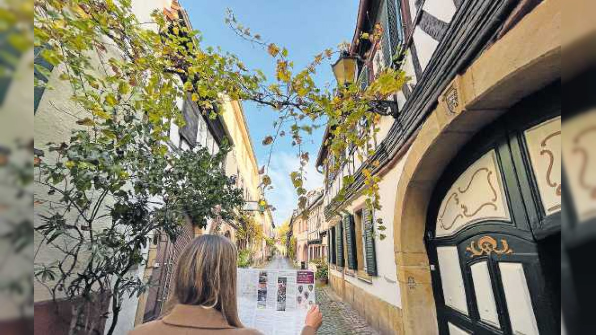 Wein und Genuss: Öffentliche Führungen rund um den Rebensaft in Neustadt