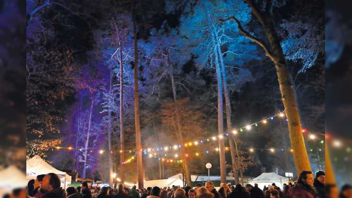 Waldweihnacht im Vogelpark Schifferstadt 