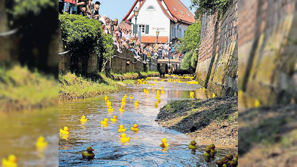 Großkarlbach: Entdecken und genießen