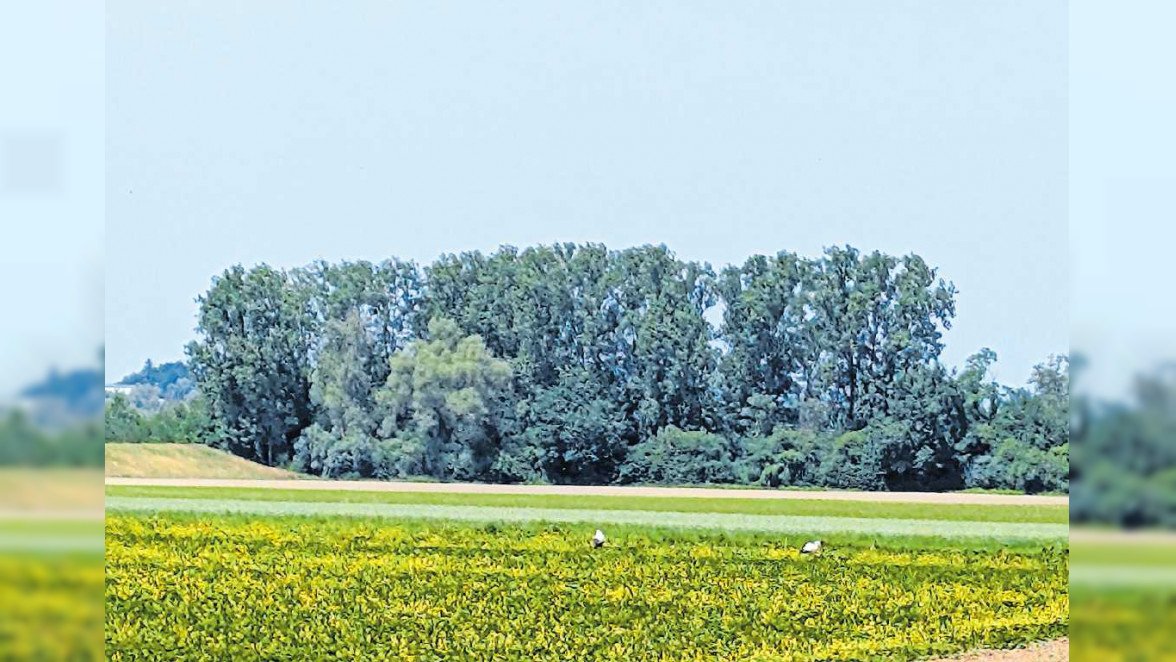 Kopf aus, Erholung an 