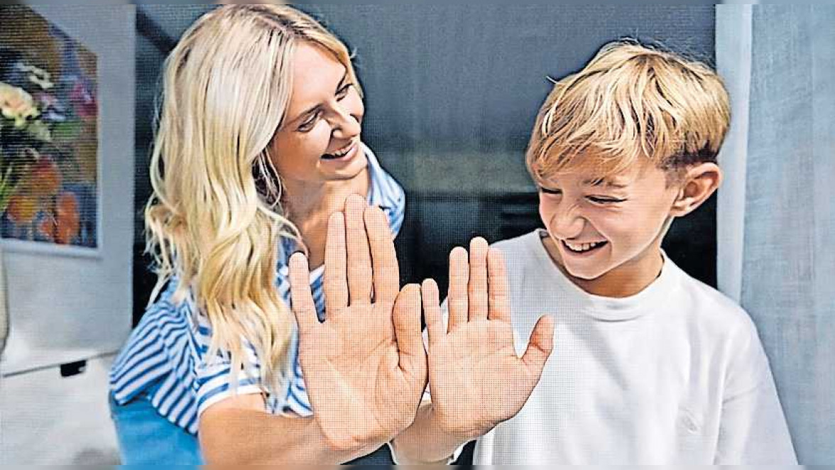 Luft und Licht dürfen rein - Brummer und Co. bleiben draußen