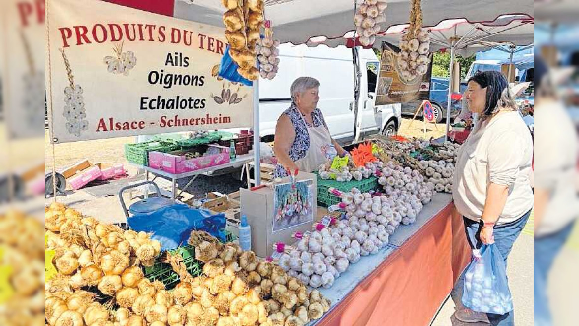 Zwiebeldorf feiert am Wochenende rund ums würzige Gemüse