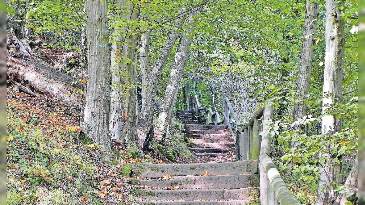 Über Stufen und Steine zur Limburg