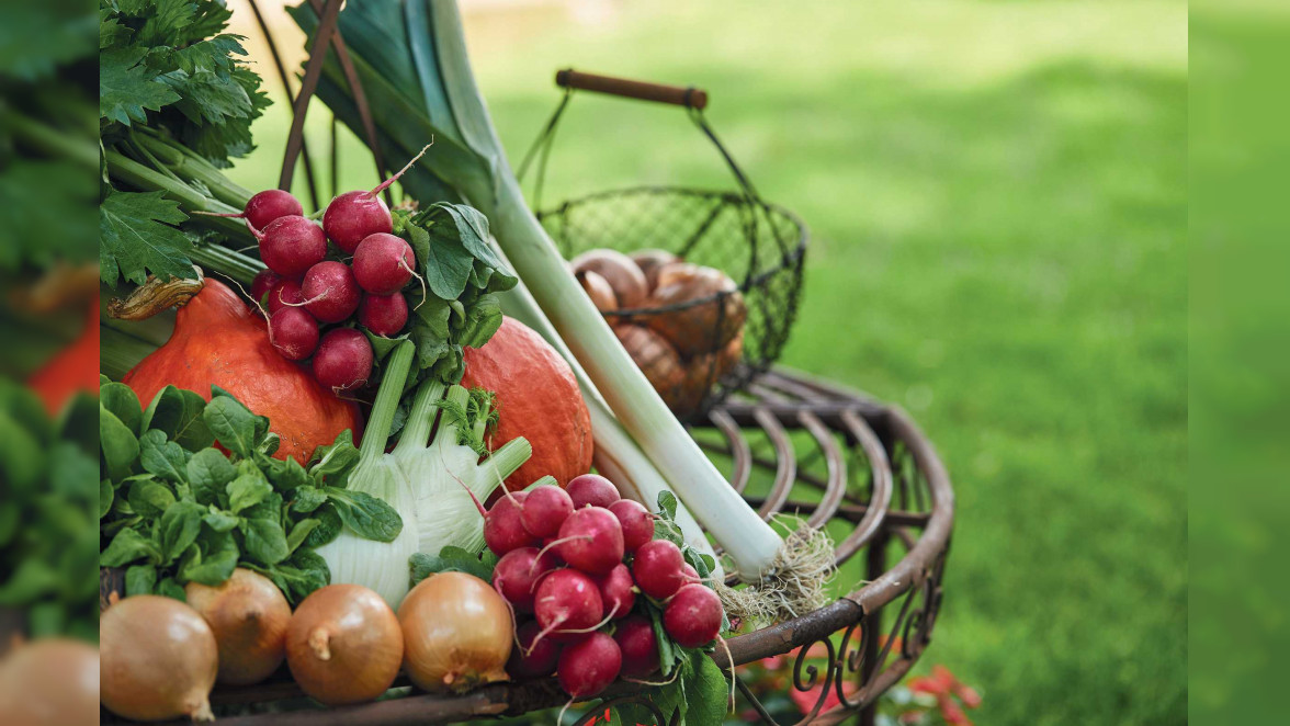 Buntes Lebensgefühl: Gemüse und Obst aus eigenem Garten, Geflügel aus der Region