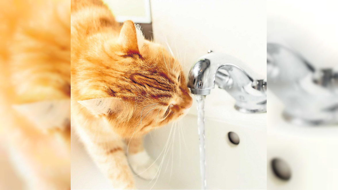 Sicherheit für unser Trinkwasser