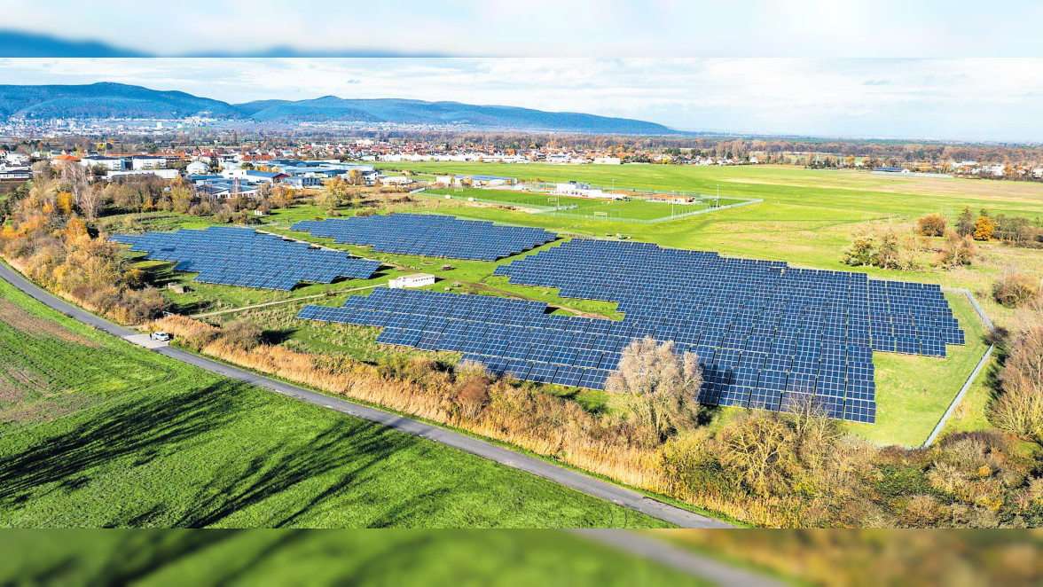 Sonnenstrom aus der Pfalz