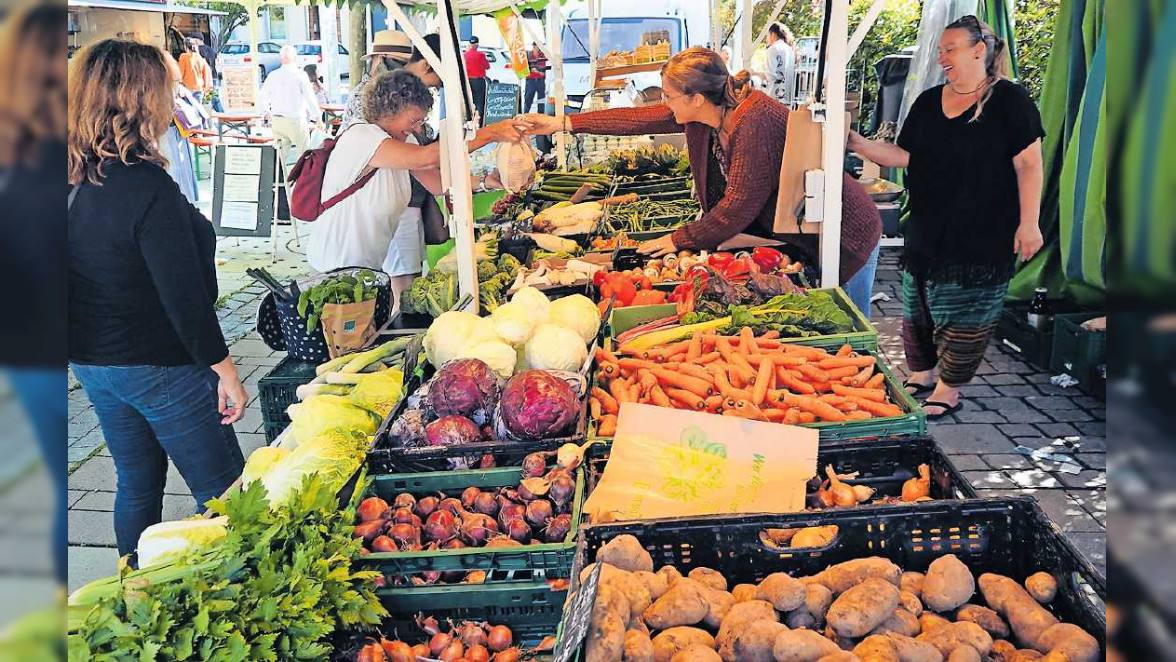 Grünstadt: Bewährte Symbiose