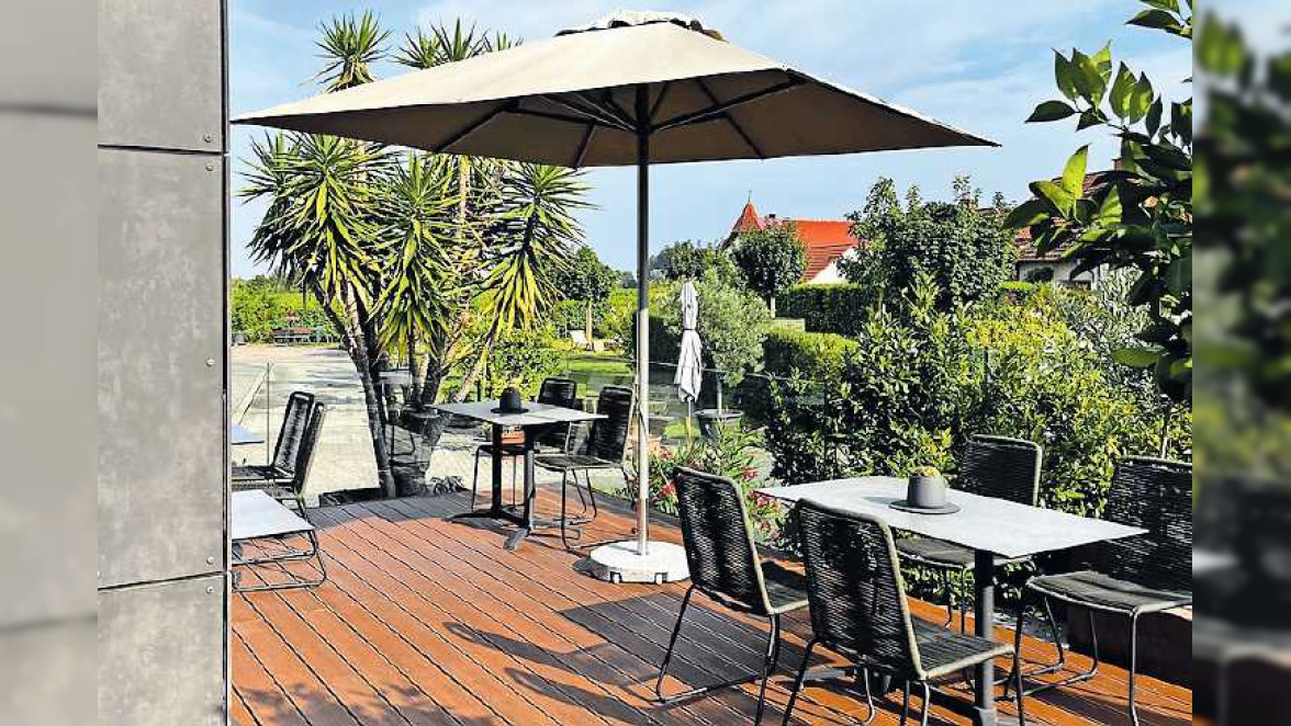 Herbst in Neustadt: So gut schmeckt die Weinlesezeit