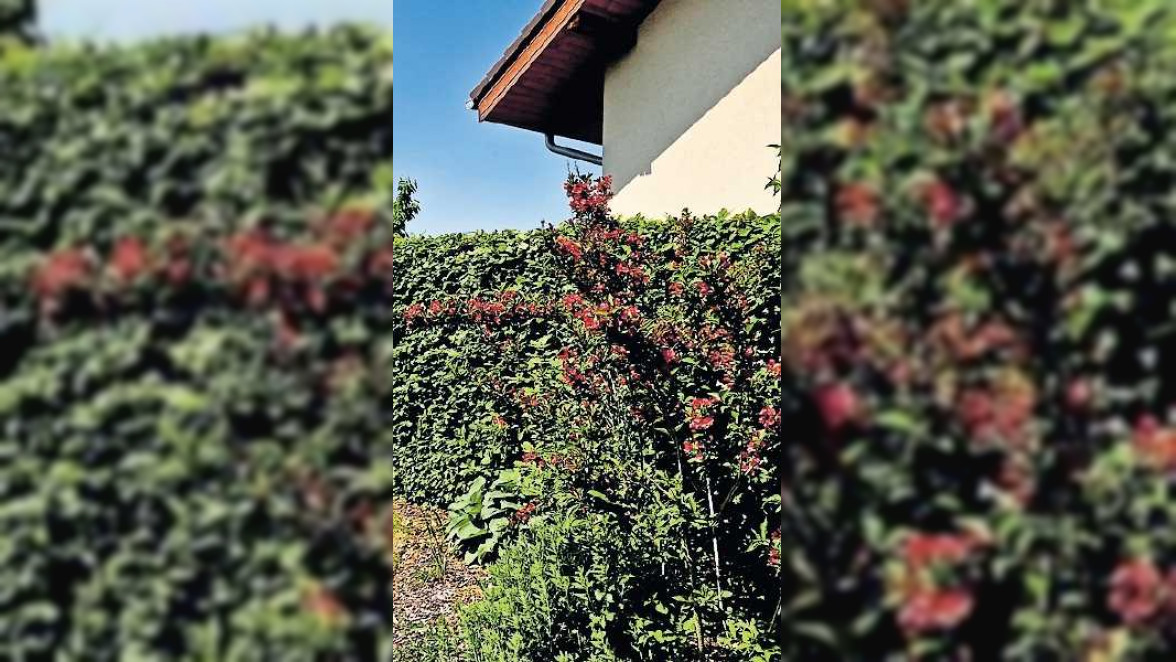 Einbruchschutz beginnt bei lichtdurchfluteten Zugängen