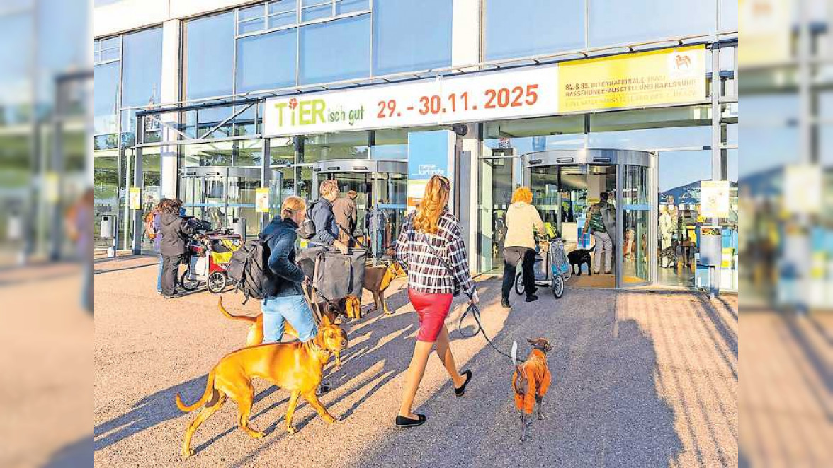 Karlsruhe: Buntes Angebot für Hunde- und Katzenfreunde