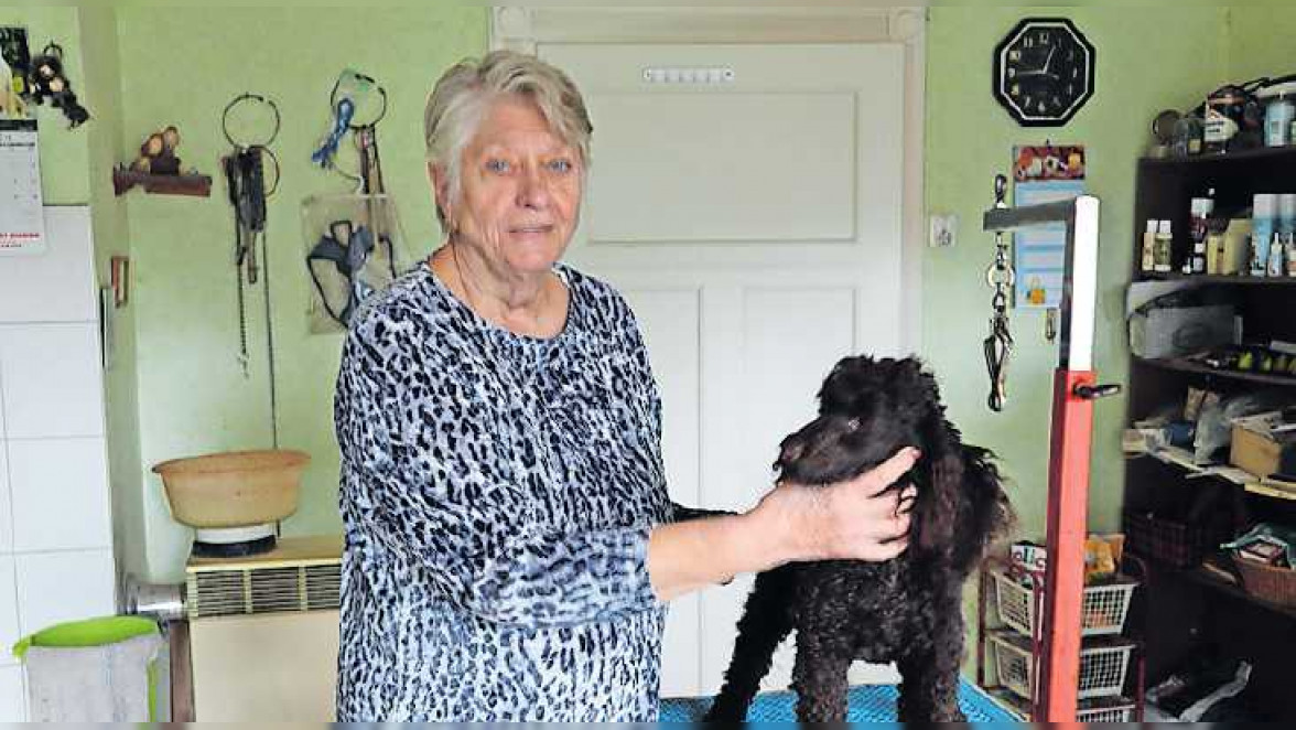 Helga Haslers Hundesalon Cocco in Kaiserslautern