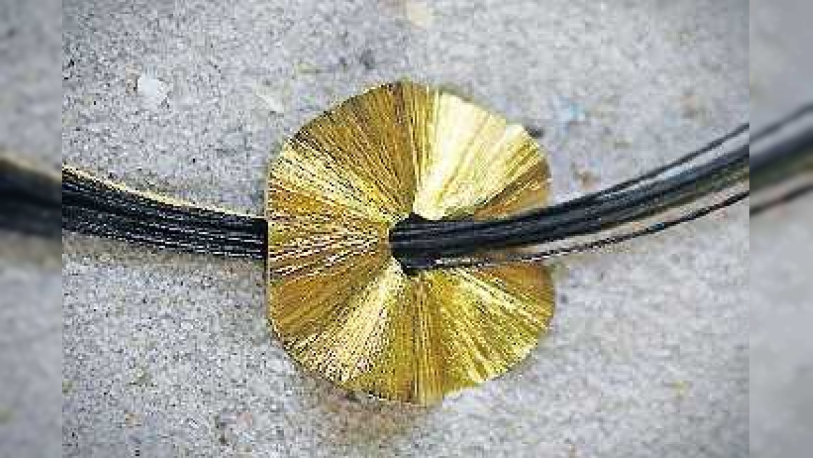 Edenkoben: Schöne Schmuckstücke zum Fest