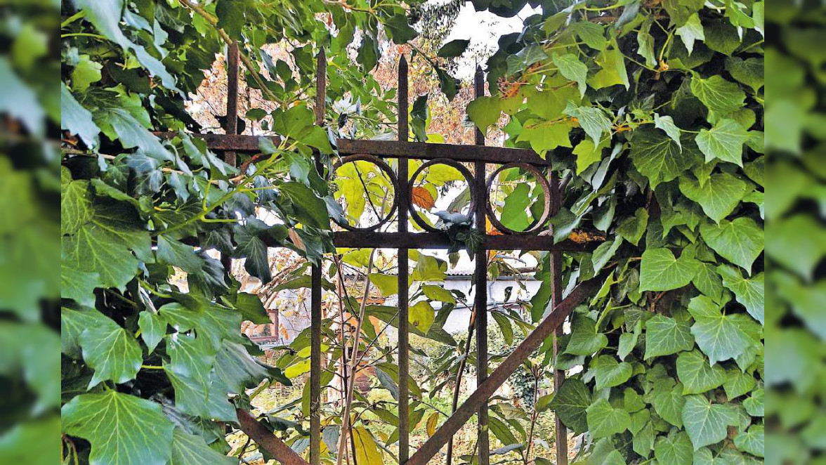 "Gadepädelscher“ in Gönnheim führen durch eine Idylle