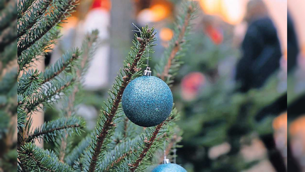 Ortsgemeinde Maikammer: Weihnachtszauber Maika