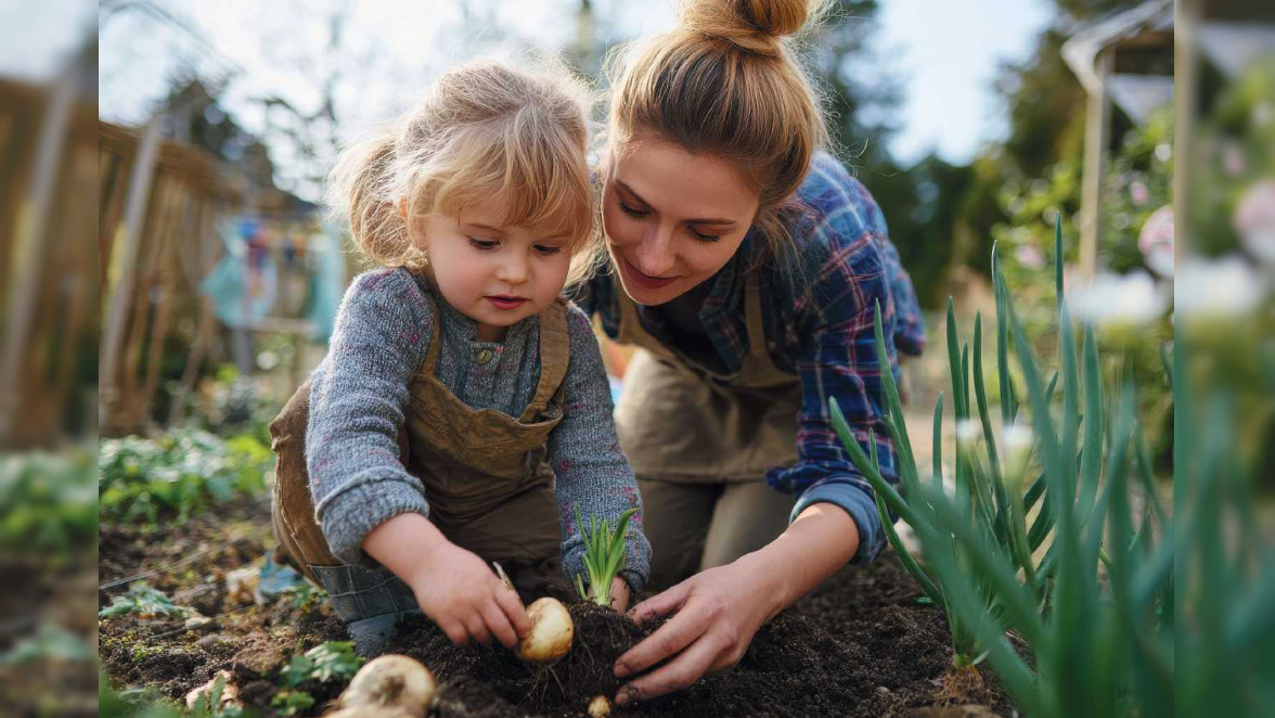 Früh planen, bunt ernten