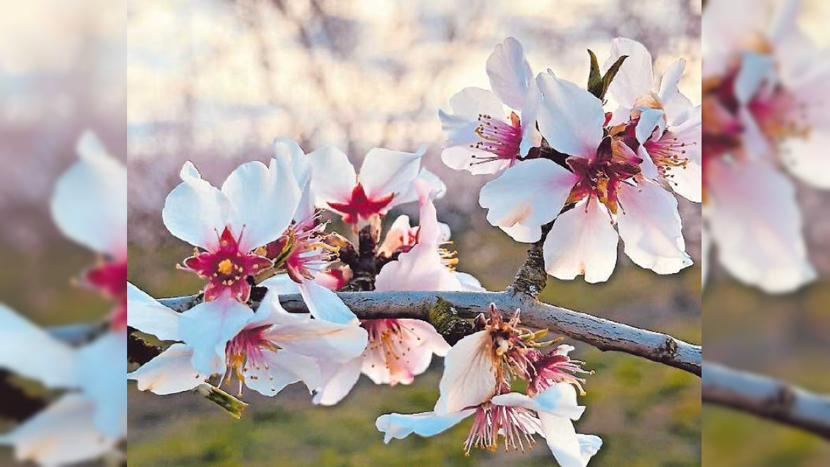 Entspannt feiern und genießen