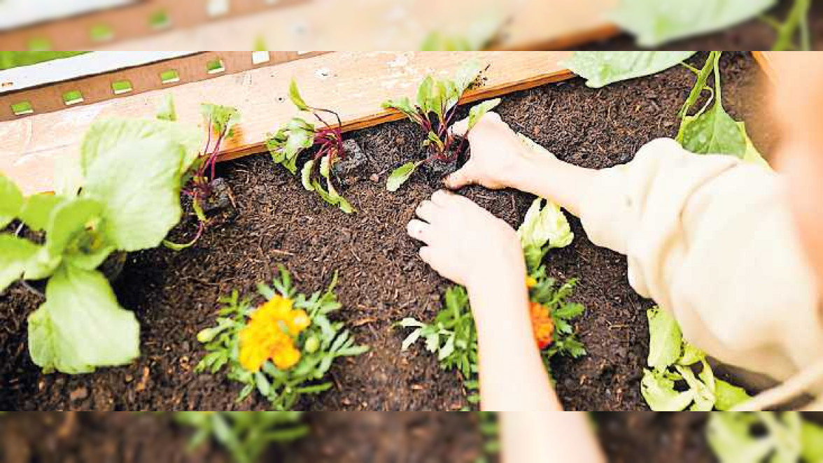 Einmal auffüllen, bitte