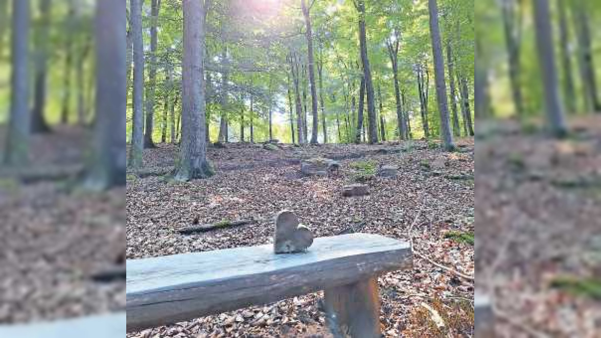 „Unter allen Wipfeln ist Ruh´“