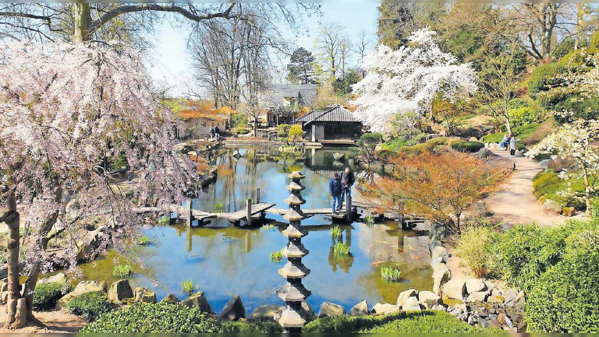 Blütenpracht zum Start ins Jahresprogramm