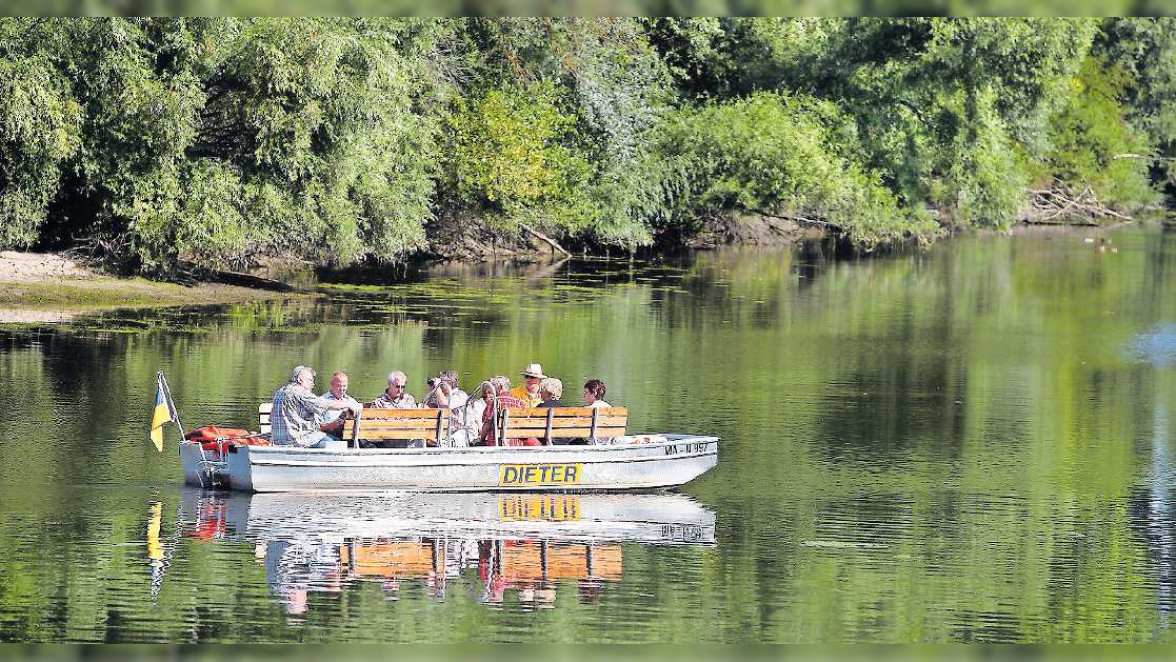 Im Elektroboot über den Altrhein gleiten