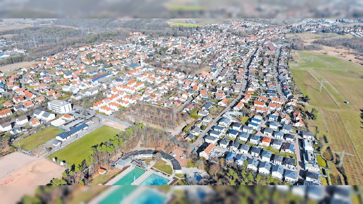 Wo der Mut zur Veränderung Wurzeln schlägt