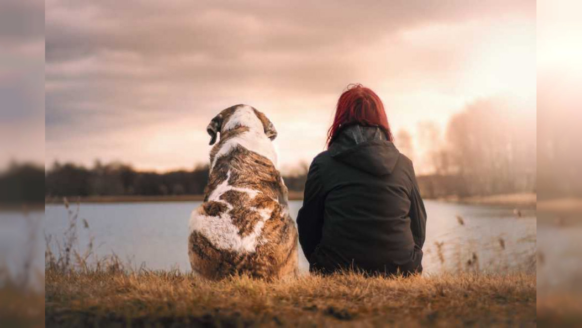 Würdevoller Abschied vom geliebten Tier