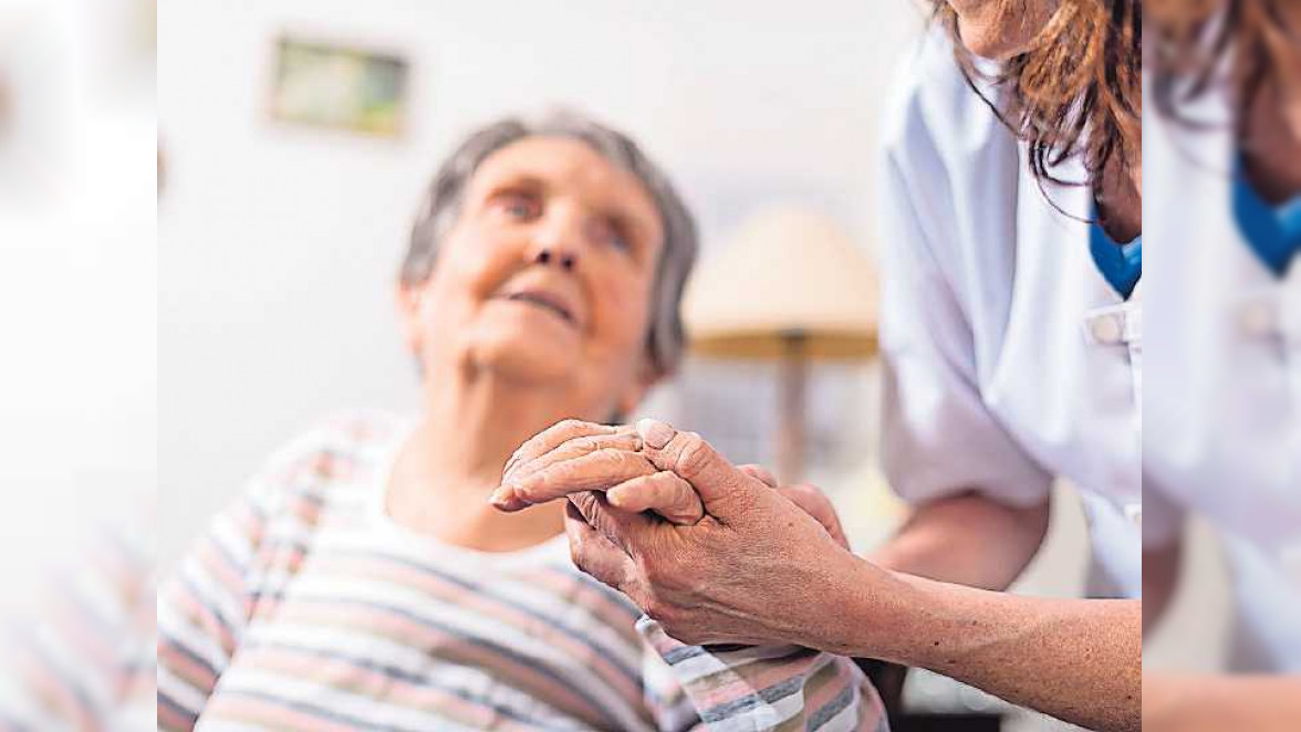 Die Alltagsbegleiter mit Herz