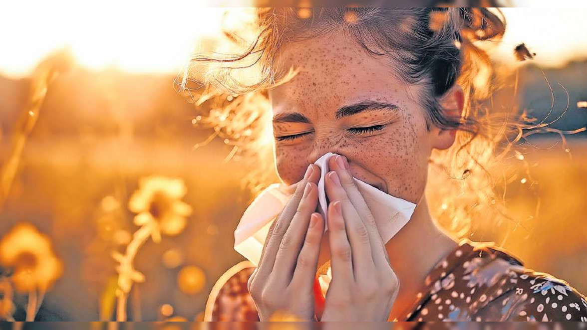 Pollen, na und?