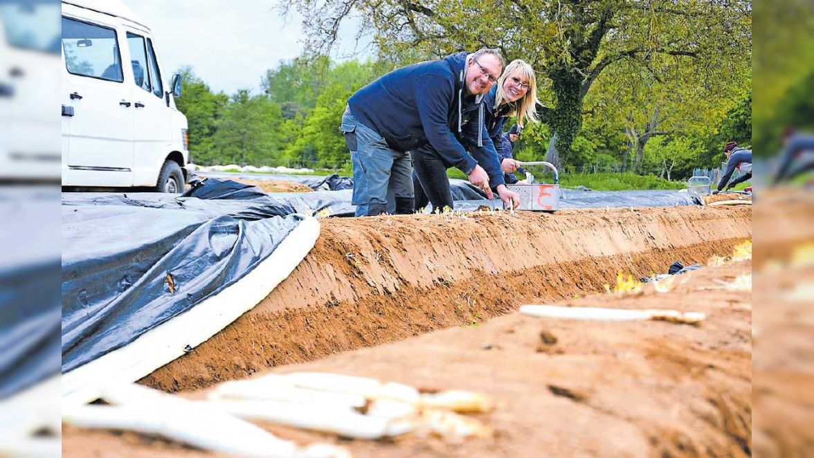 Regeneration ist wichtig