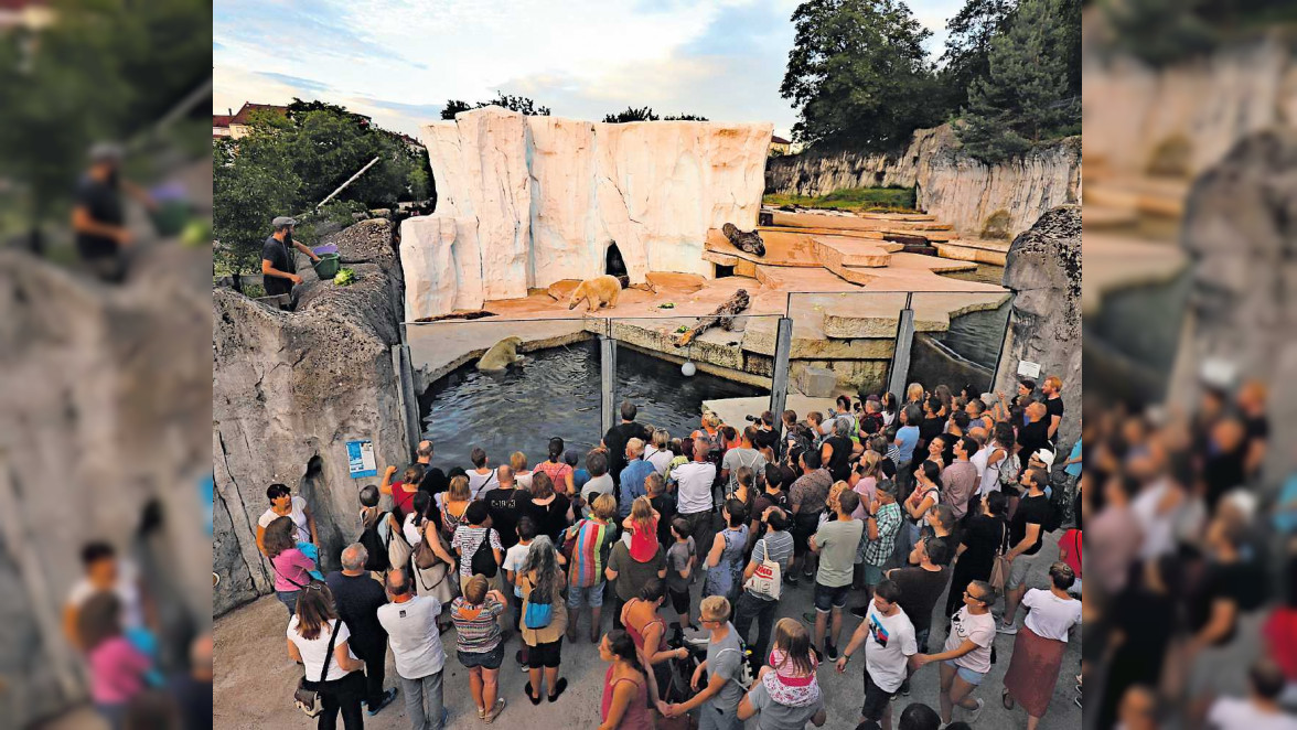 Abendveranstaltung im Karlsruher Zoo