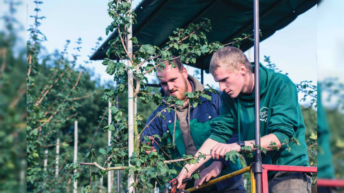 Ausbildung und Quereinstieg: Grün hat Zukunft