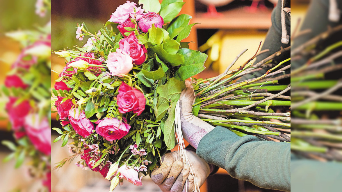 Rosen in voller Blte: Die bekannte Rosenschule Ruland liegt zwischen  Duisburg und Dsseldorf. Auf 110.000 Quadratmetern werden Schnittrosen und  Rosenpflanzen in 50 Sorten angepflanzt. - Rheinische Post
