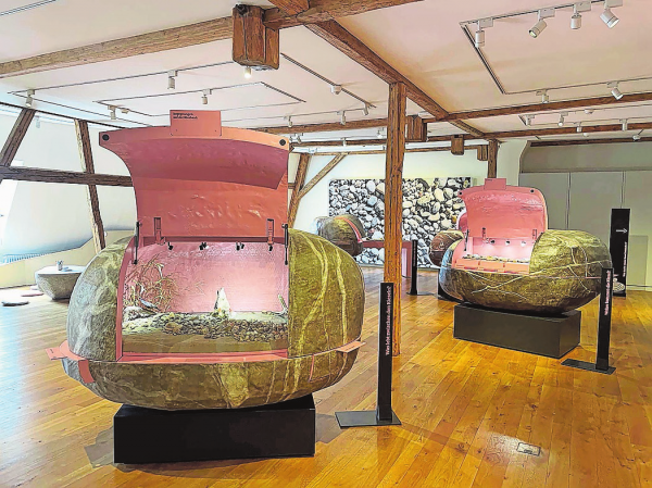 Sonderausstellung "Kleiner Kiesel ganz gross" im Naturmuseum Thurgau