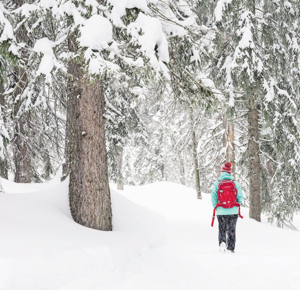 Die besten Winterausflugsziele