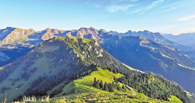 Sommerliche Naturerlebnisse