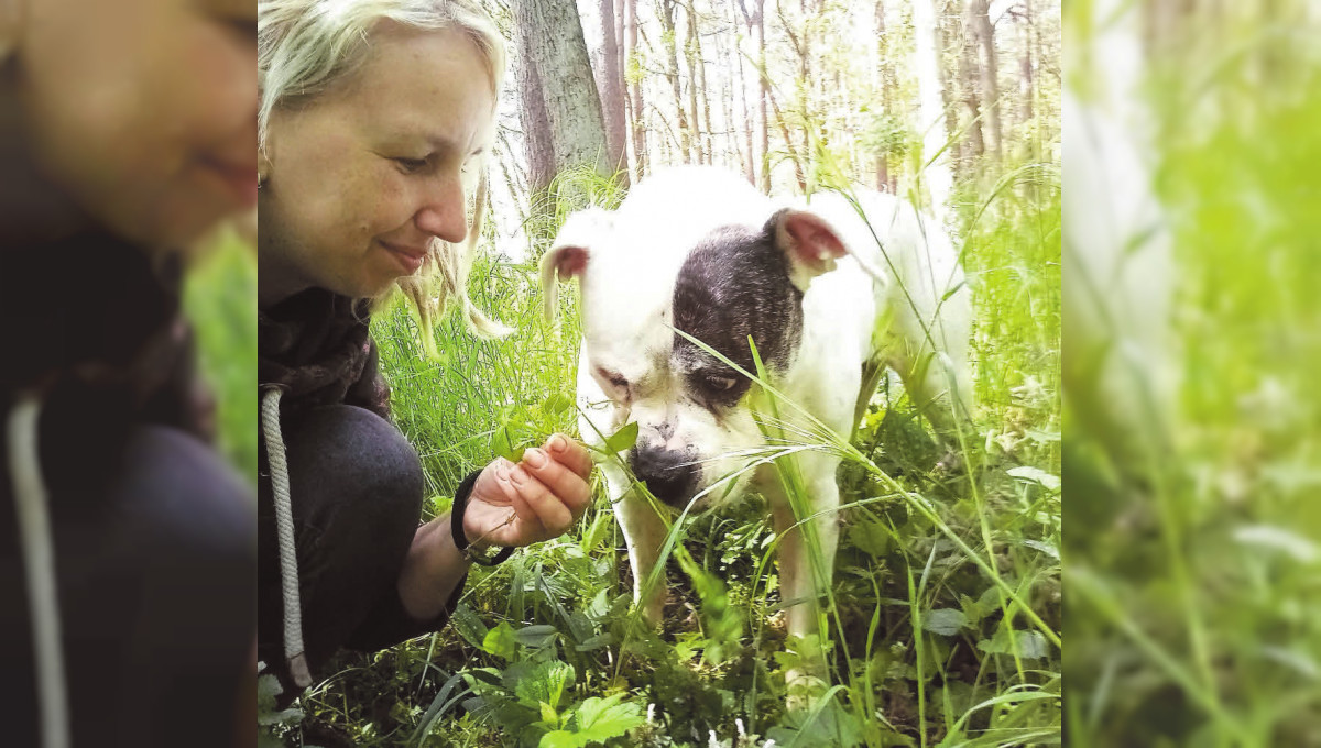 WILLKOMMEN IN DER Samtgemeinde Brome Wolfsburger Allgemeine Zeitung