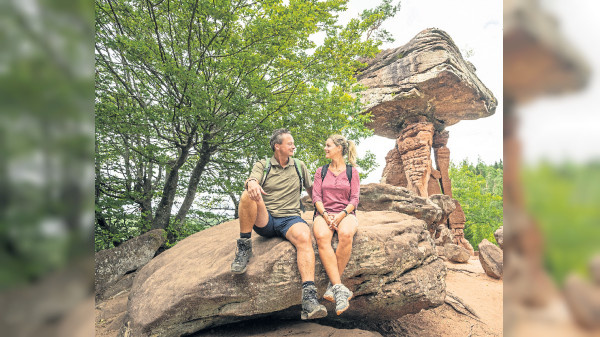 Naturpark Pfälzerwald: Grenzenloser Wanderspaß in der Südwestpfalz
