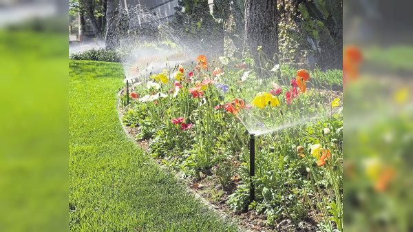 Den Garten automatisch & sparsam bewässern